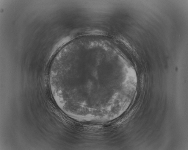 X0000087321405200705180959