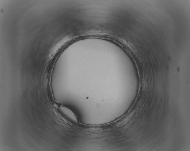 X0000087321406200705180959