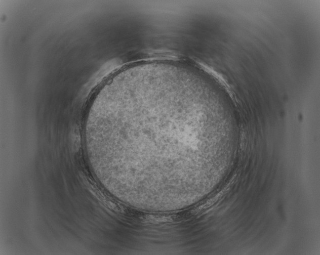 X0000087321407200705180959