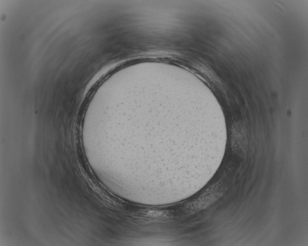 X0000087321412200705180959