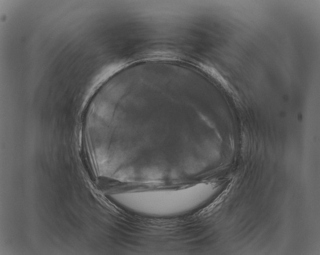 X0000087321413200705180959