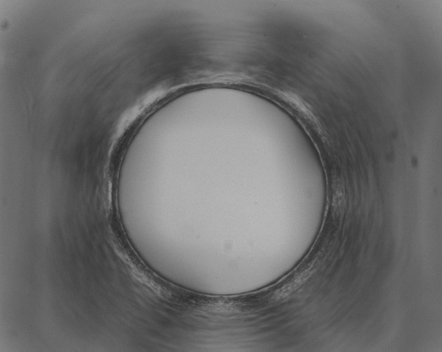 X0000087321414200705180959