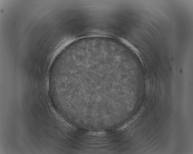 X0000087321415200705180959