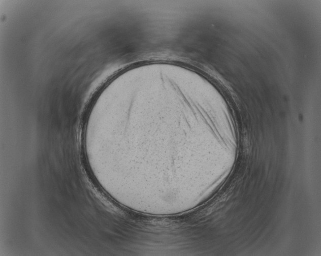 X0000087321416200705180959