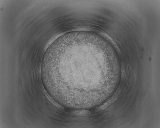 X0000087321417200705180959