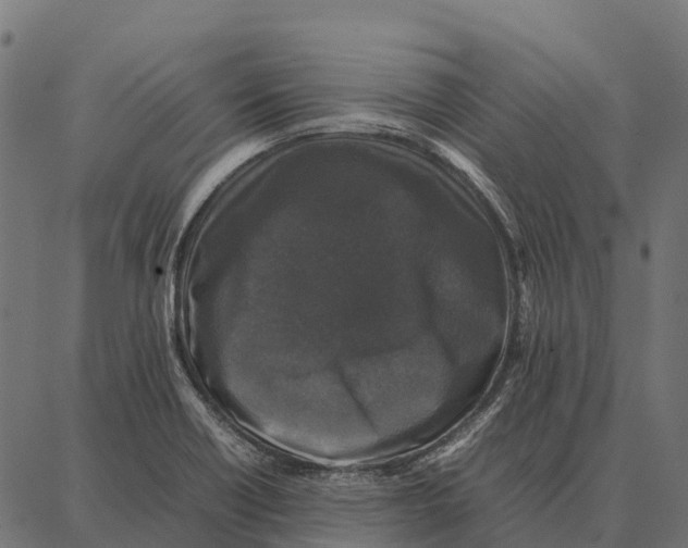 X0000087321418200705180959