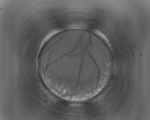 X0000087321419200705181000