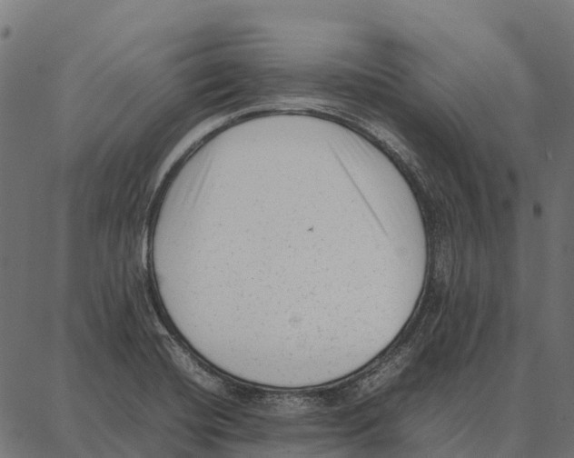 X0000087321420200705181000