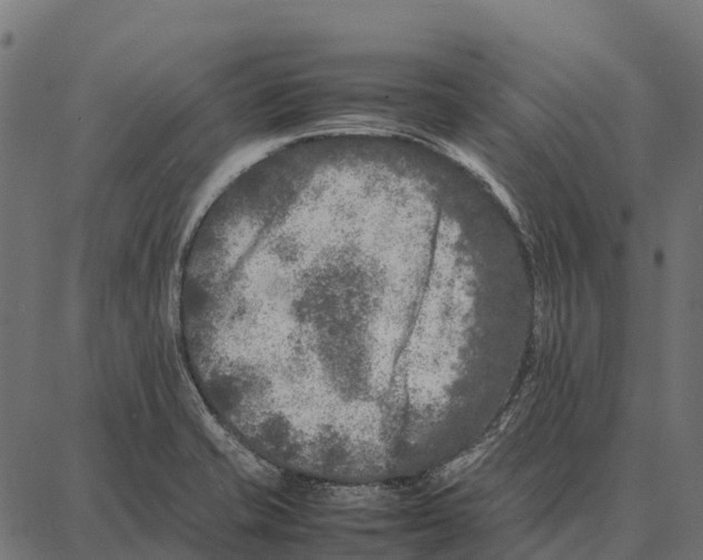 X0000087321421200705181000