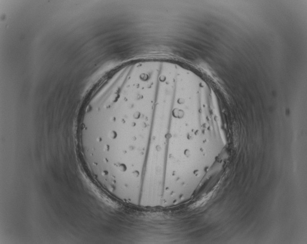 X0000087321422200705181000