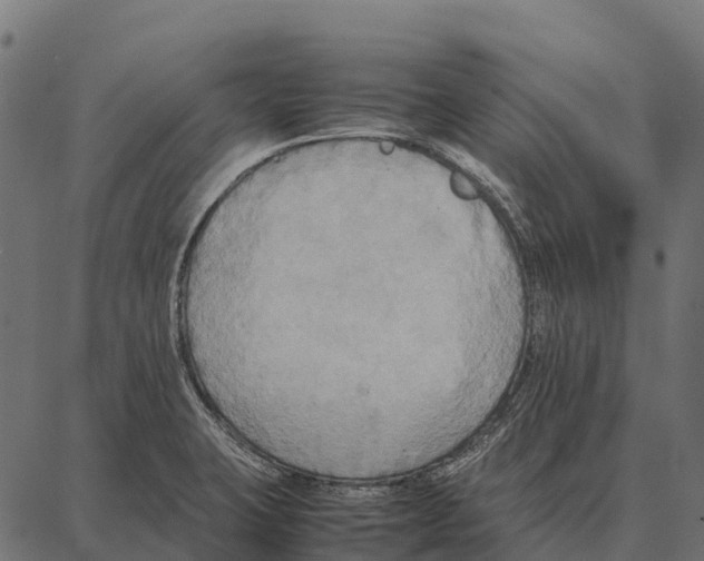 X0000087321423200705181000