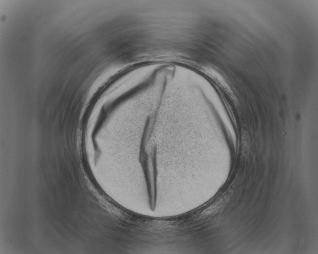 X0000087321424200705181000