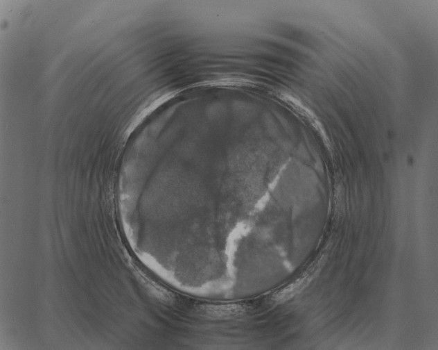 X0000087321425200705181000