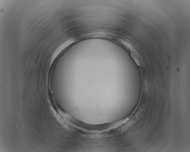 X0000087321426200705181000