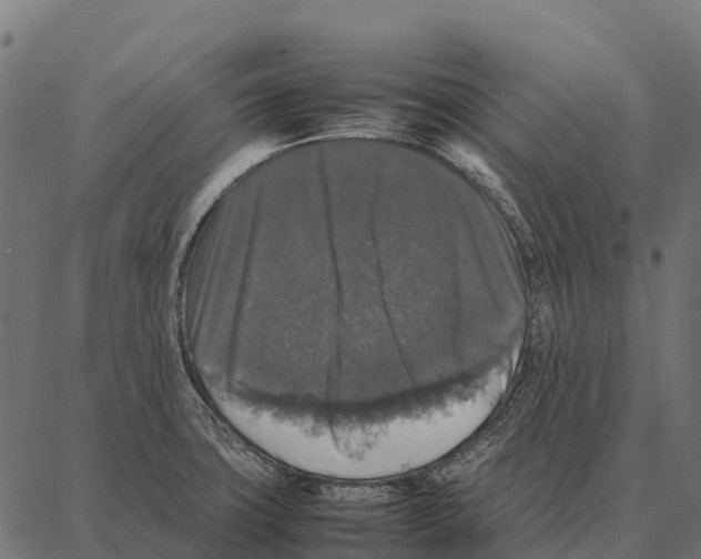 X0000087321427200705181000