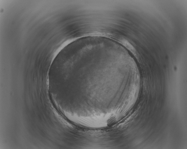 X0000087321428200705181000