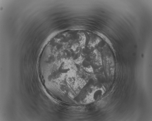 X0000087321429200705181000