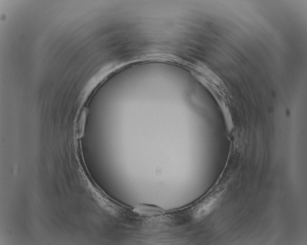 X0000087321430200705181000