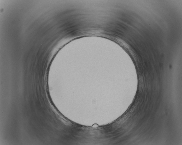 X0000087321432200705181000