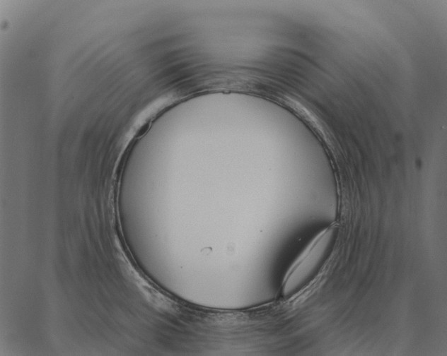 X0000087321434200705181000