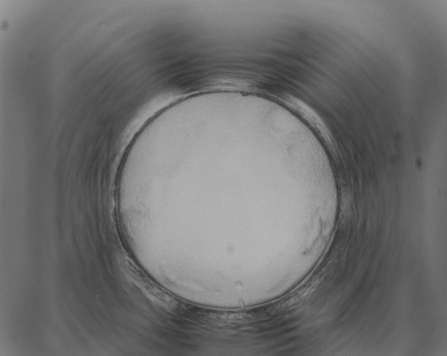 X0000087321435200705181000