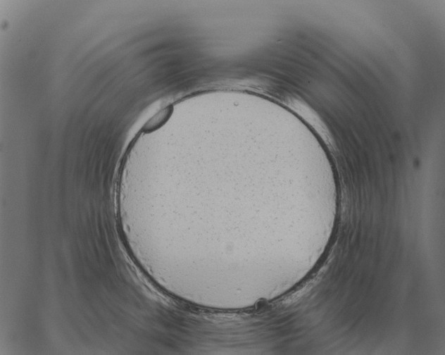 X0000087321436200705181000