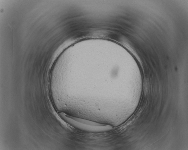 X0000087321437200705181000