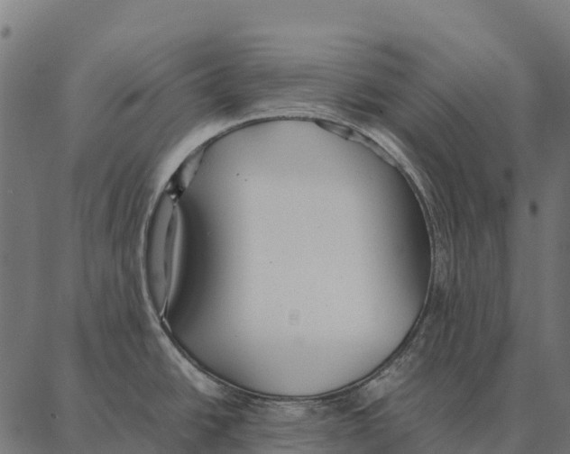 X0000087321438200705181000