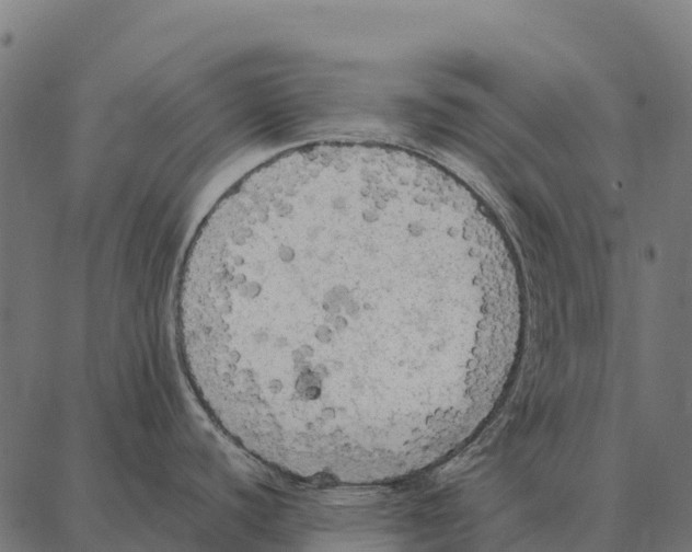 X0000087321440200705181000