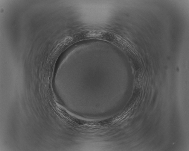 X0000087321441200705180959