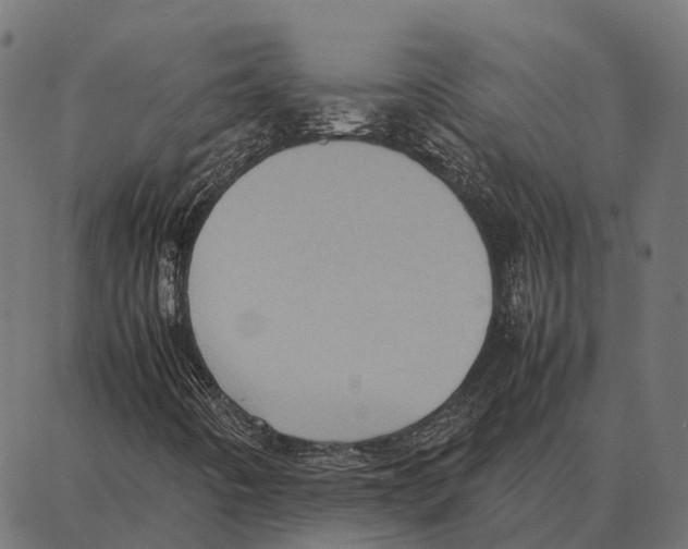 X0000087321442200705180959