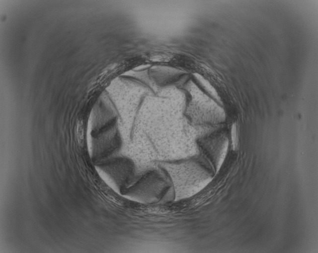 X0000087321443200705180959