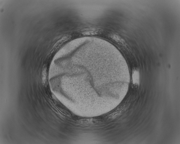 X0000087321444200705180959