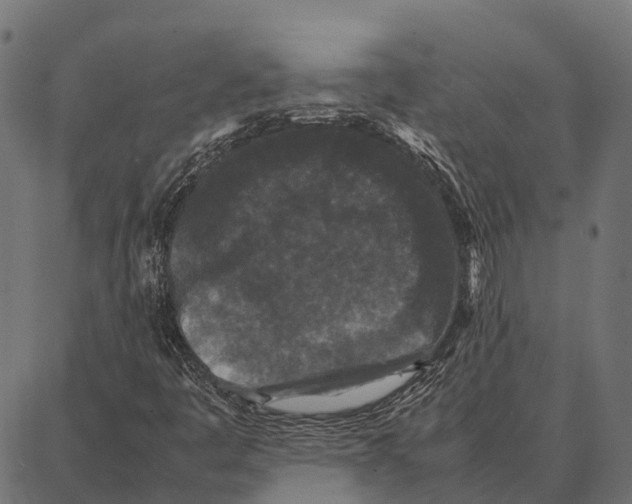 X0000087321445200705180959