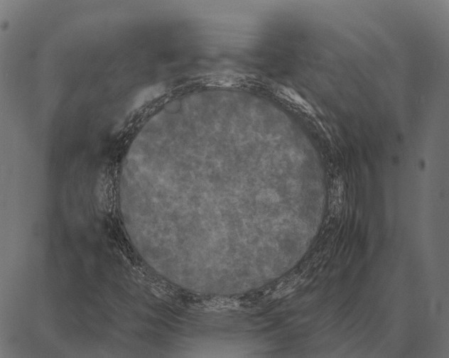 X0000087321446200705180959