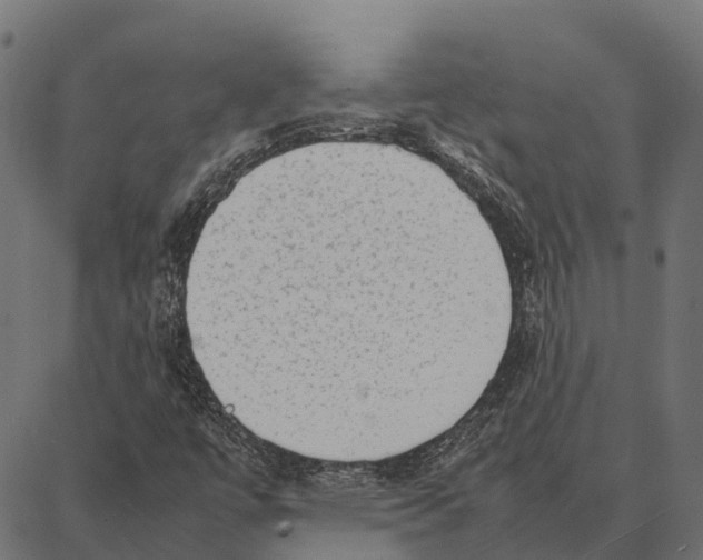 X0000087321447200705180959