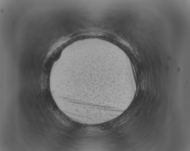 X0000087321448200705180959