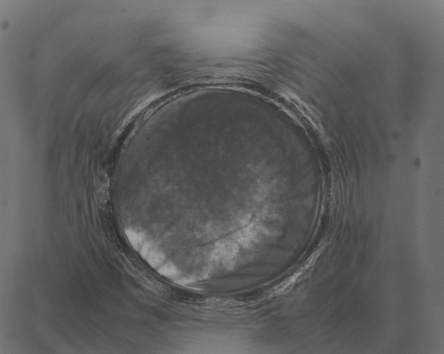 X0000087321449200705180959