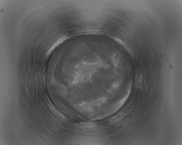 X0000087321450200705180959