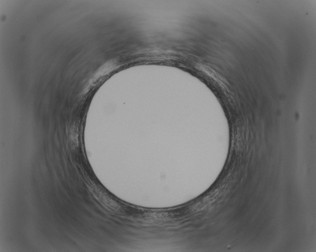 X0000087321451200705180959