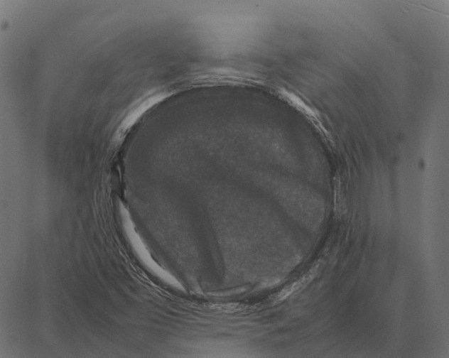 X0000087321453200705180959