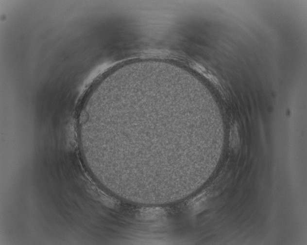 X0000087321454200705180959