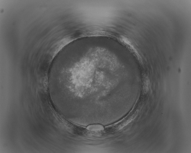 X0000087321457200705180959