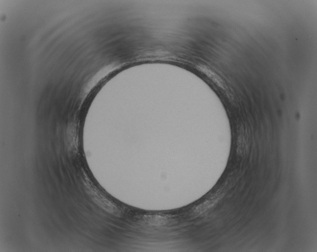 X0000087321458200705180959