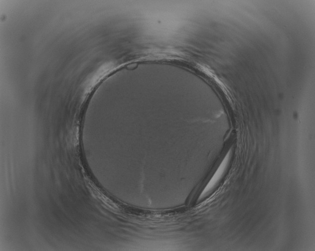 X0000087321459200705180959