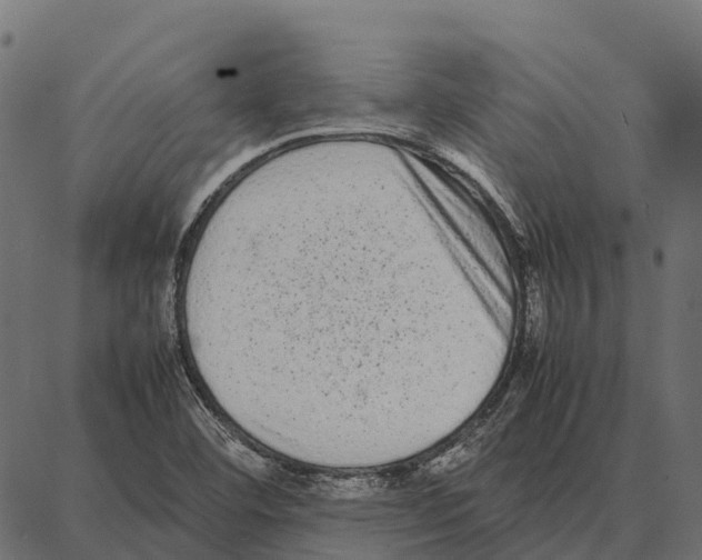 X0000087321460200705180959