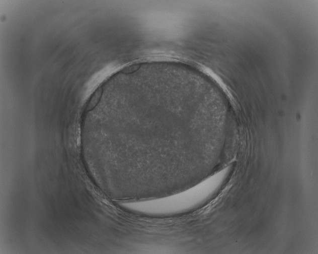 X0000087321461200705180959