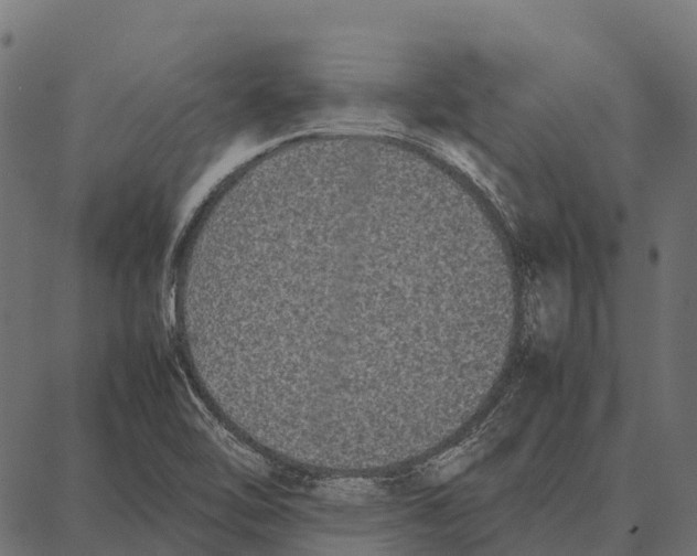 X0000087321462200705180959