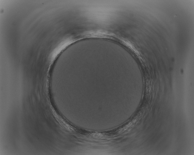 X0000087321463200705180959