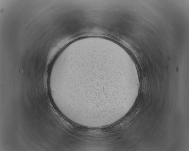 X0000087321464200705180959